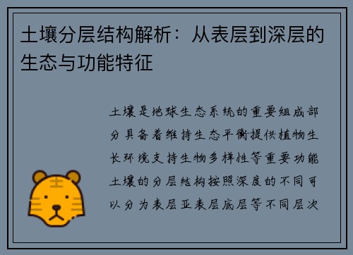 土壤分层结构解析：从表层到深层的生态与功能特征
